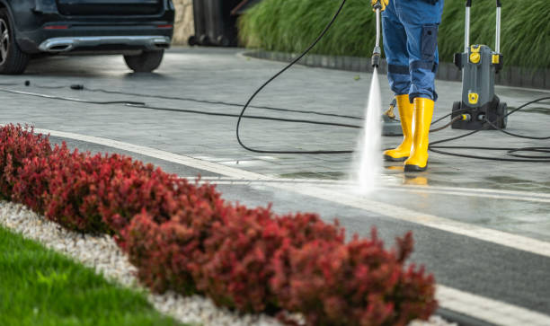 Professional Pressure Washing in East Renton Highlands, WA