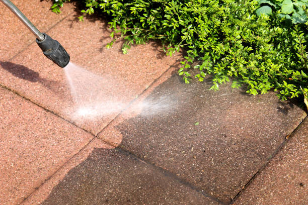 Best Deck Pressure Washing  in East Renton Highlands, WA